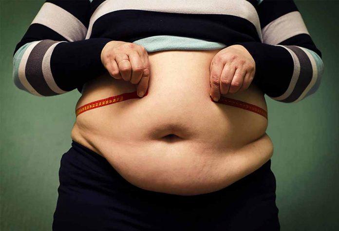 Có rất nhiều yếu tố góp phần làm tăng nguy cơ béo phì (Ảnh: Internet).