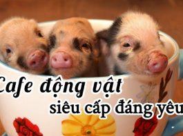 10 quán cafe động vật “cute siêu cấp” ở Tokyo cho bạn vui đùa thả ga cùng thú cưng!