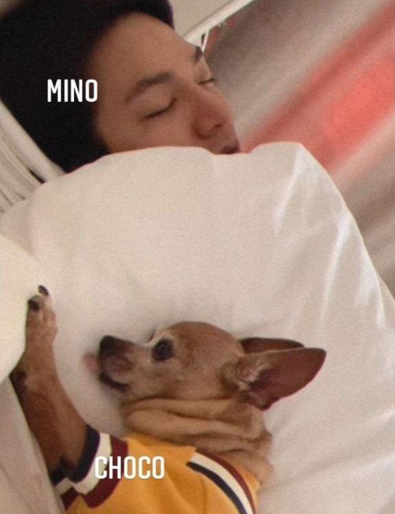 Lee Min Ho nằm ngủ cạnh chú cún cưng Choco nhỏ bé của mình (Ảnh: Internet).