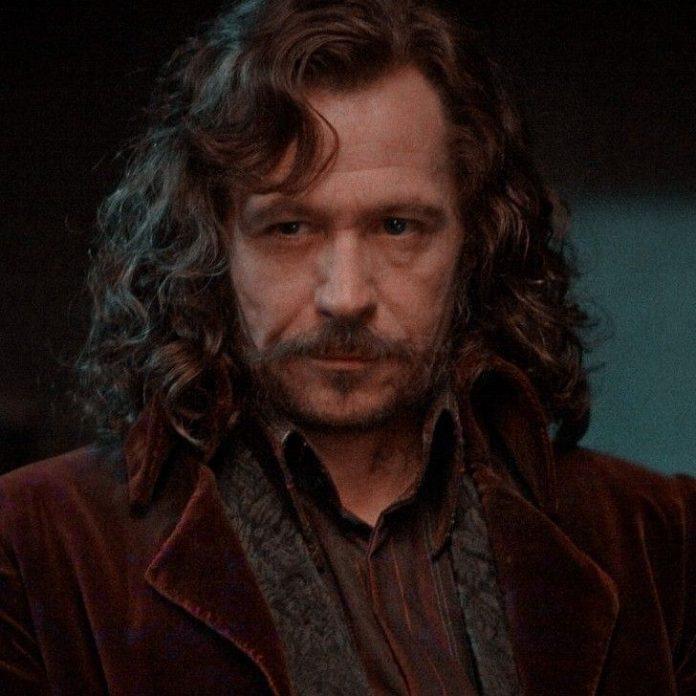 Sirius Black - tên của ông có nghĩa là sao Thiên Lang (Ảnh: Internet).