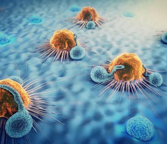 4 thói quen giúp bạn giảm thiểu nguy cơ ung thư 4 thói quen giúp làm giảm nguy cơ ung thư (Nguồn: Internet).