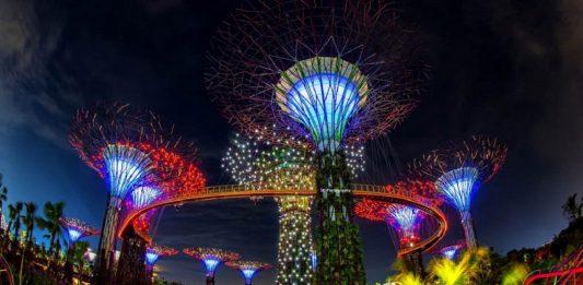 Vườn Bên Vịnh Singapore – Kỳ quan phi thường của thế giới cỏ cây và bàn tay con người!
