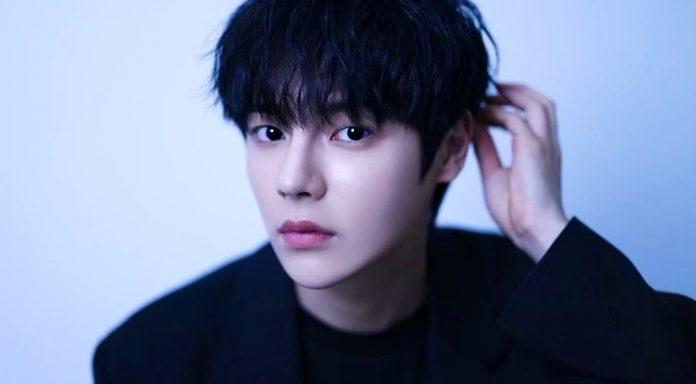 Lee Sae On vào năm 2017 đã tham gia PRODUCE 101 mùa 2 (Ảnh: Internet).