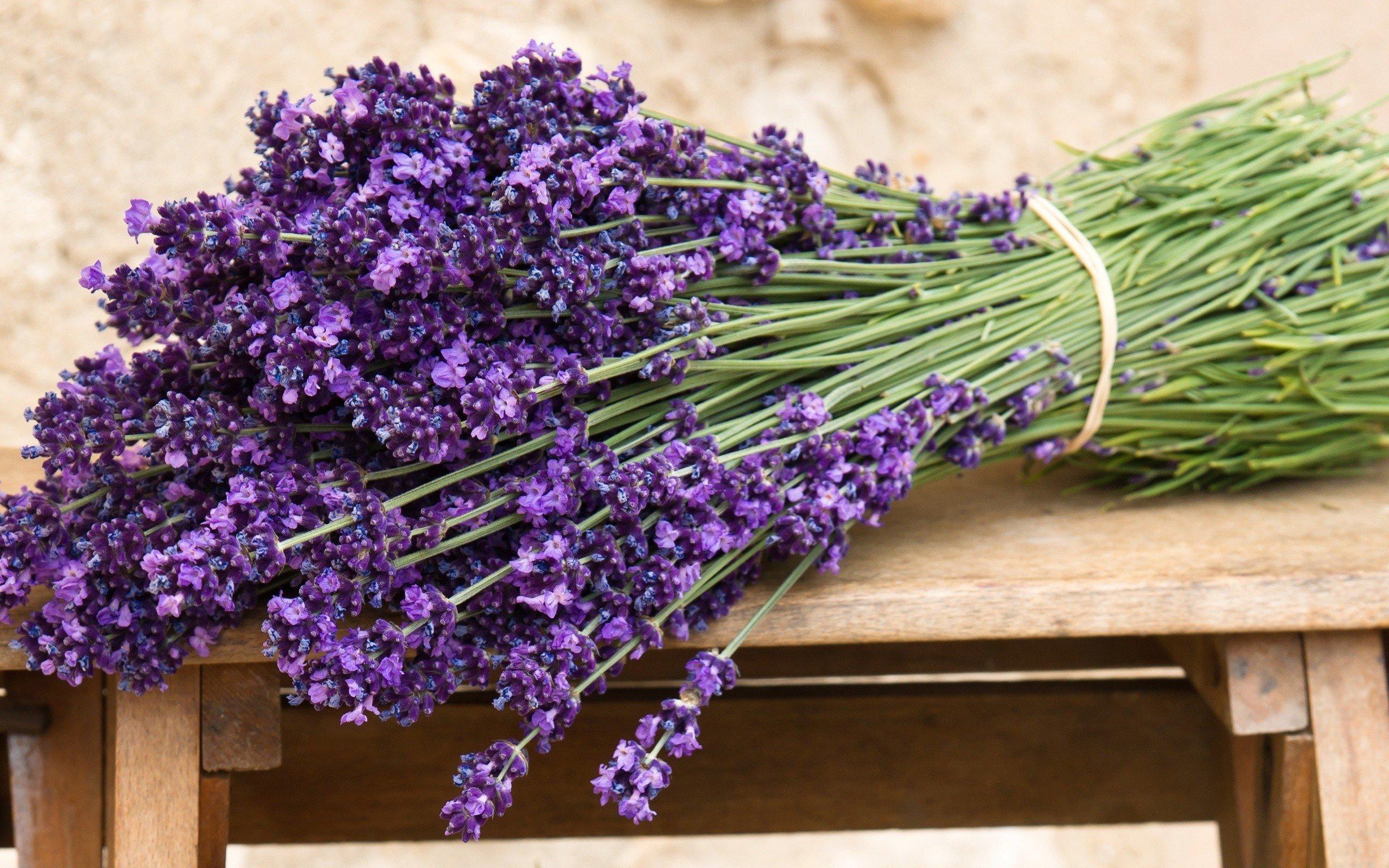 Mùi thơm từ hoa oải hương giúp bạn tươi vui hơn (Nguồn: Internet).