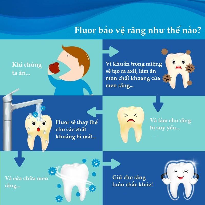 Cơ chế bảo vệ răng của florua (Ảnh: Internet).