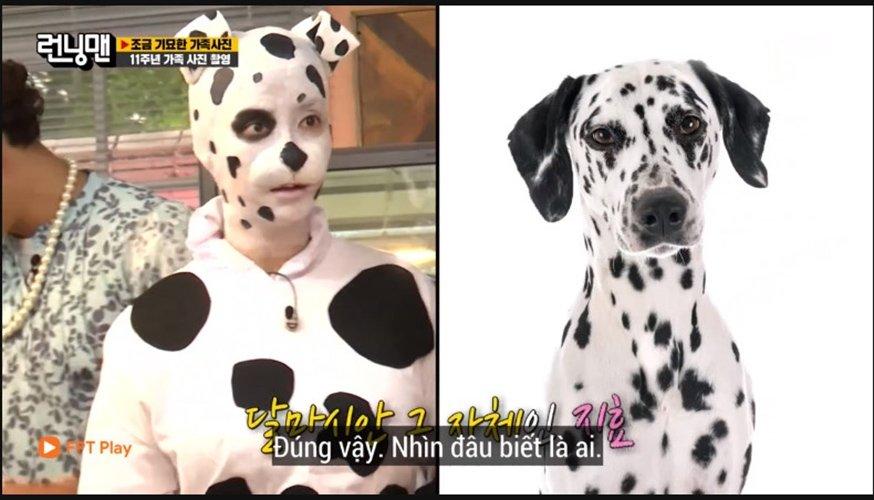 Song Ji Hyo người đã chi rất nhiều tiền nhưng vẫn xếp hạng bét và nhận vai con cún đáng yêu. (Ảnh: Internet).