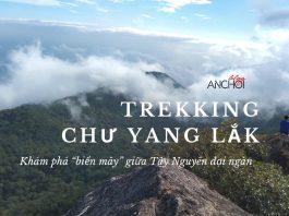 Kinh nghiệm trekking Chư Yang Lăk: Khám phá “biển mây” giữa Tây Nguyên đại ngàn