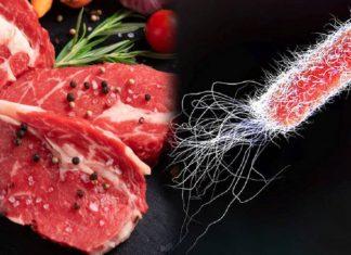 9 điều cần biết về vi khuẩn E. coli – Thủ phạm gây nhiễm trùng tiêu hóa vẫn sống cạnh chúng ta hằng ngày!