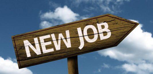 Cơ hội luôn có sẵn nếu bạn biết cách đi tìm (Ảnh: Internet).