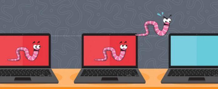Worm có đặc tính tự di chuyển để tìm "con mồi" (Ảnh: Internet).