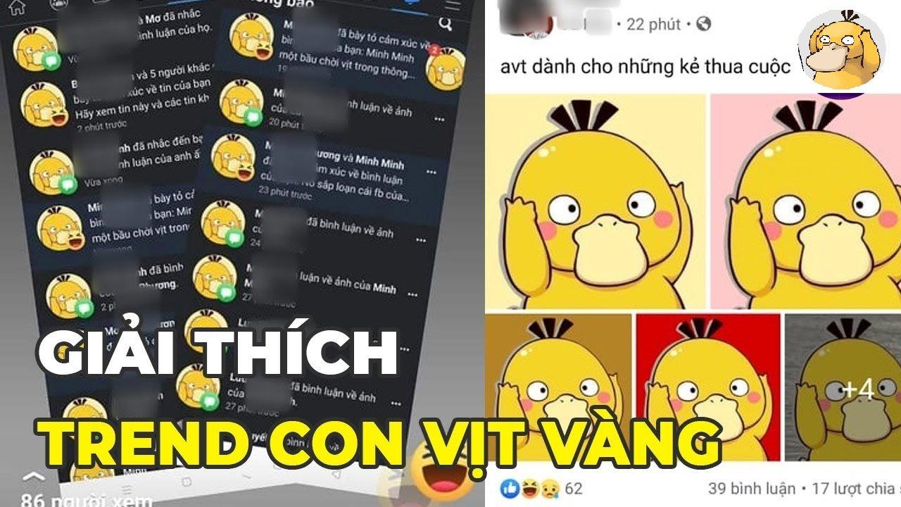 Tổng Hợp Avatar Con Vịt Vàng Trên Facebook Siêu Hài  Việt Nam Overnight