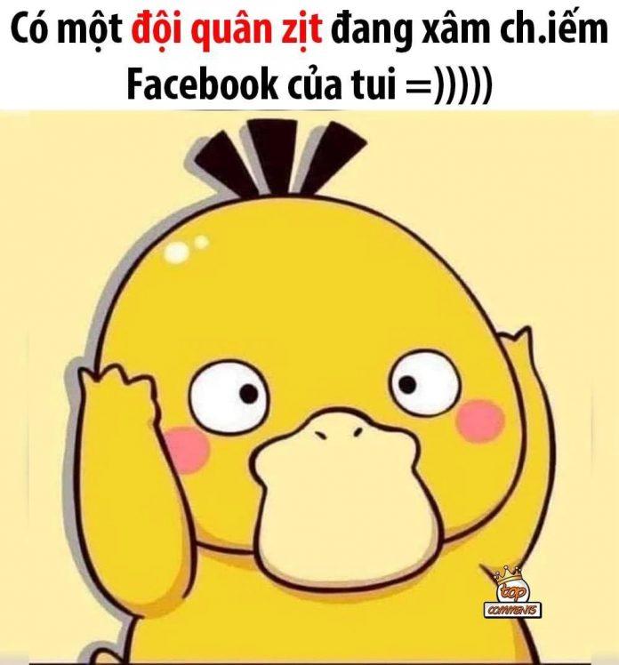 Vịt vàng xâm lấn Facebook. (Ảnh: Internet)