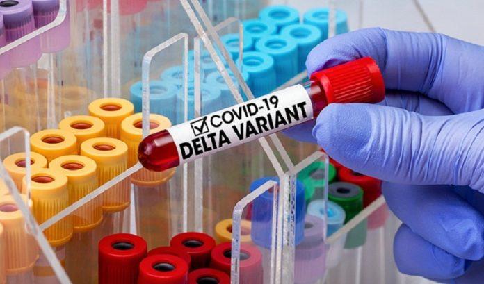 Biến thể Delta đang ngày càng phổ biến và chiếm ưu thế trong đại dịch COVID-19 (Ảnh: Internet).