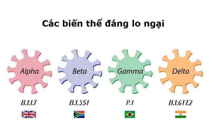 Các biến thể đáng lo ngại của virus SARS-CoV-2 đã được xác định cho đến nay (Ảnh: Internet).