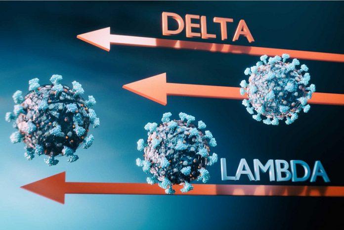 Vẫn chưa thể kết luận biến thể Lambda có lan rộng và gây nguy hiểm như Delta hay không (Ảnh: Internet).