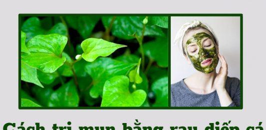 Cách trị mụn bằng rau diếp cá – an toàn, hiệu quả mà dễ thực hiện