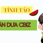 Cover (Ảnh: internet)