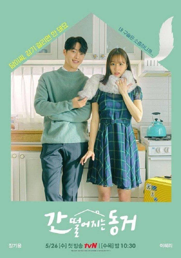 Poster bộ phim "Roomates with a gumiho" (Nguồn: Internet)