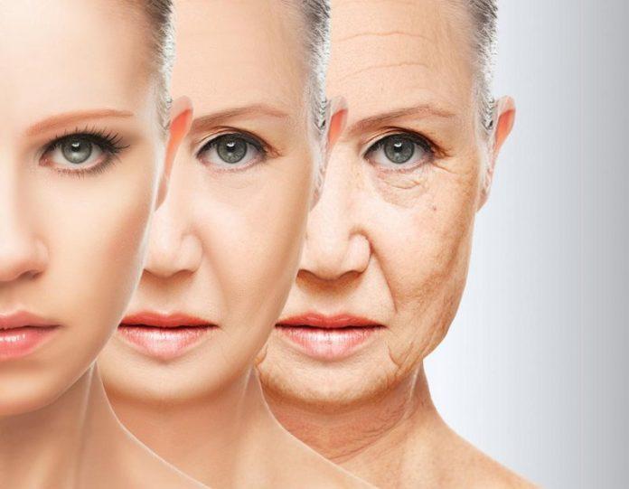 Quá trình lão hóa ảnh hưởng đến toàn bộ cơ thể, bao gồm cả tóc và hệ tim mạch (Ảnh: Internet).