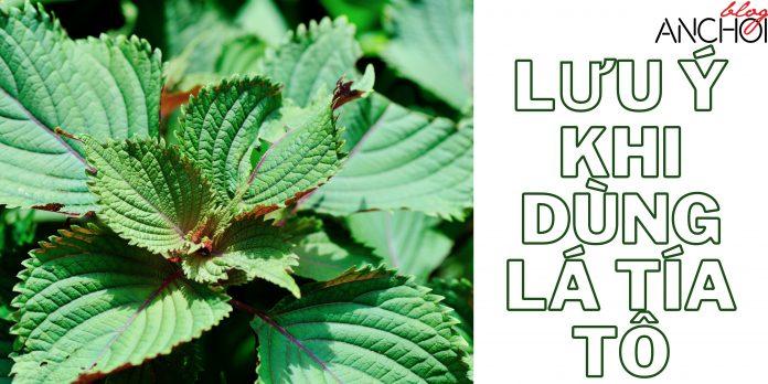 Các lưu ý khi làm đẹp da bằng lá tía tô bạn nên tránh để có làn da đẹp nhá ( Nguồn: BlogAnChoi)