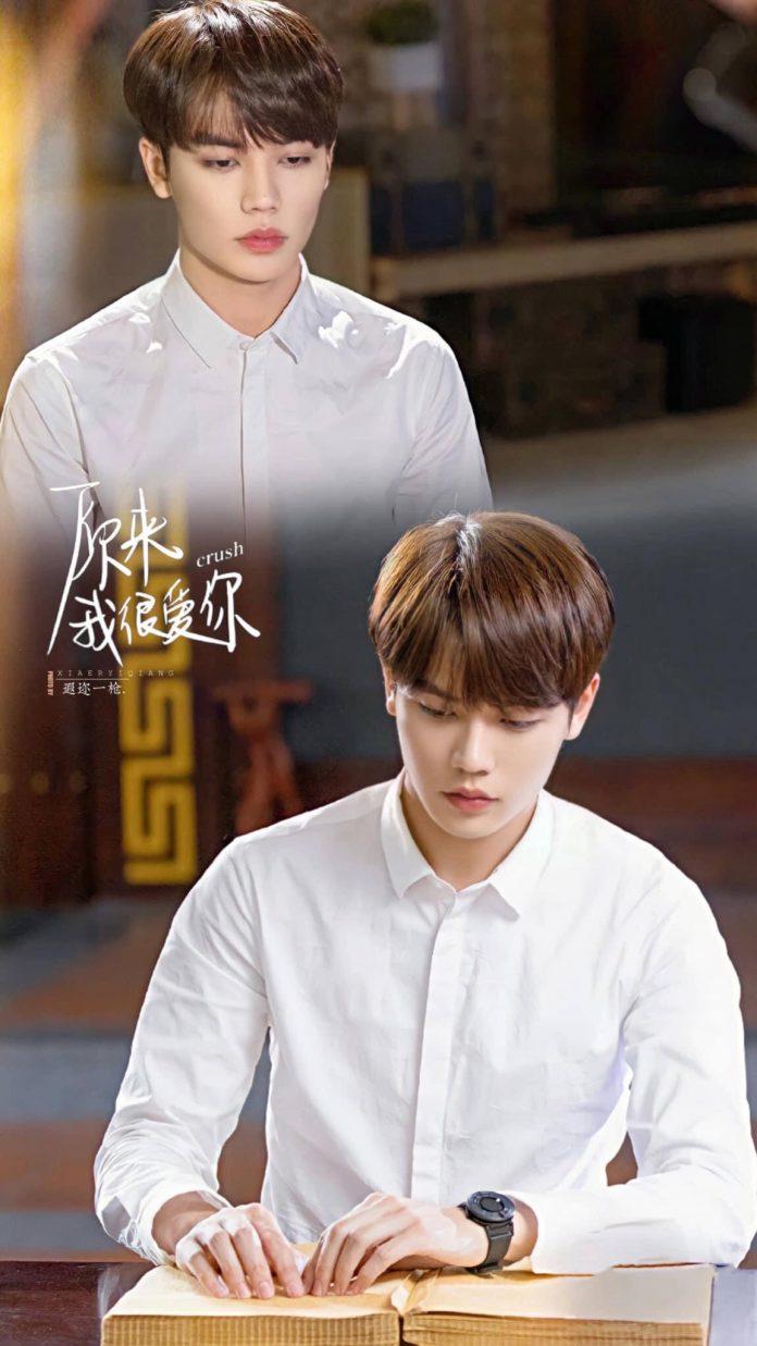 Lâm Ngạn Tuấn gây ấn tượng trong Hóa Ra Em Rât Yêu Anh (Ảnh: internet)