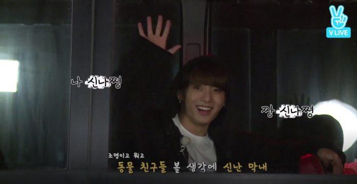 Tâm trạng háo hức của "bé út" khi được đưa đi chơi (nguồn: ảnh chụp màn hình)