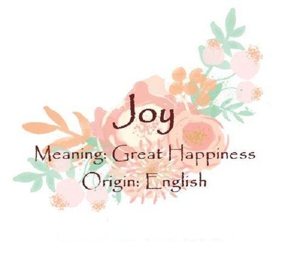 Joy nghĩa là niềm vui (Ảnh: Internet).