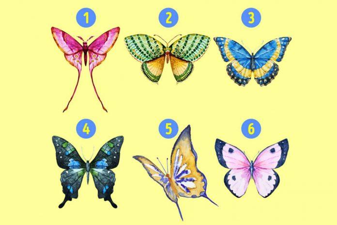 Trắc nghiệm tính cách qua hình vẽ bươm bướm. (Ảnh: Internet)