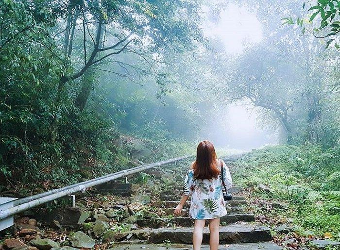 Khám phá thiên nhiên kỳ thú tại vườn quốc gia Tam Đảo (Ảnh: Internert)