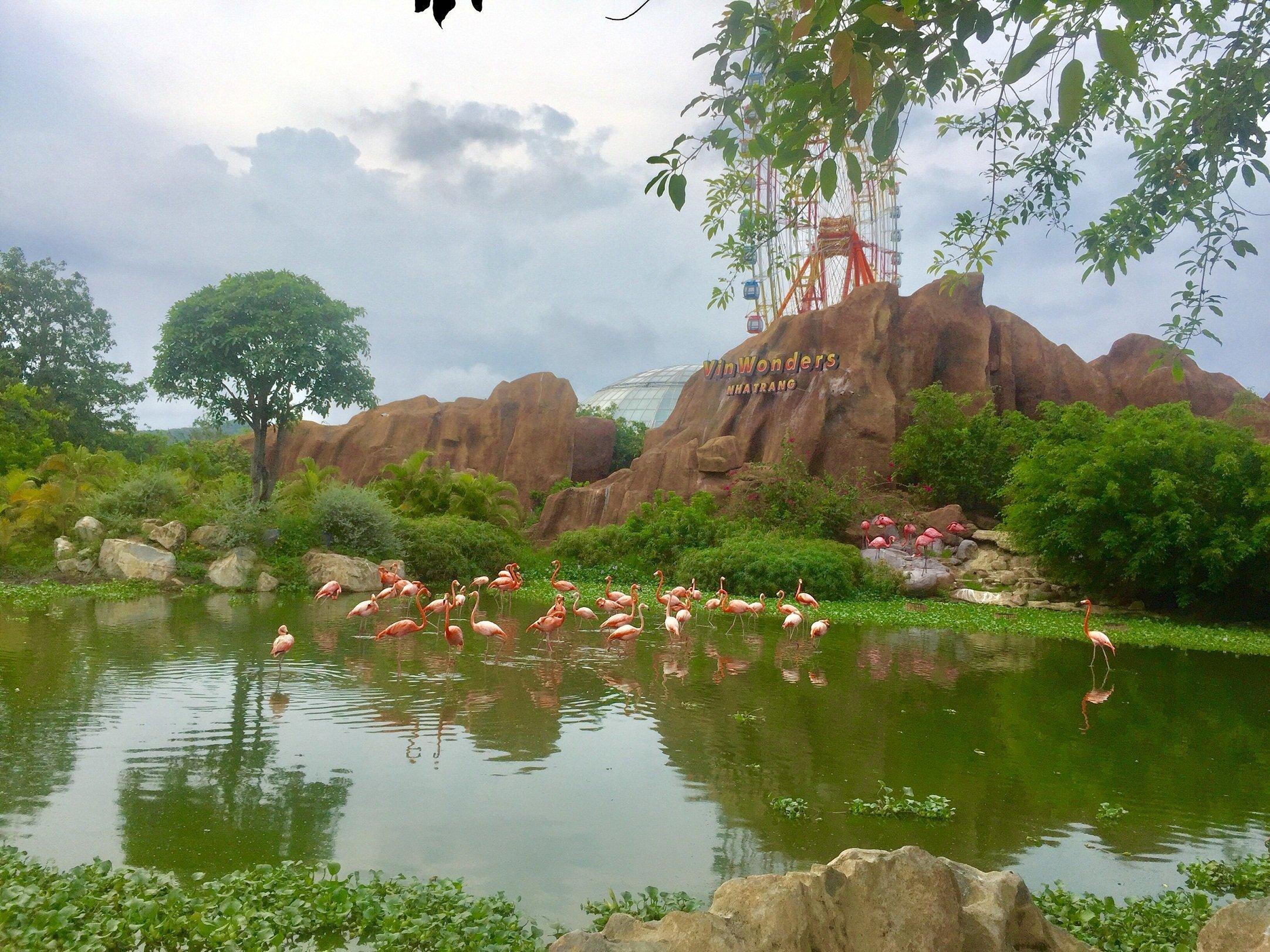 Khu nuôi hồng hạc tại Vườn Quý Vương (Ảnh: Kim Cúc).