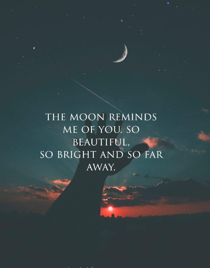 Câu nói tiếng Anh hay về tình yêu. (Ảnh: Internet)