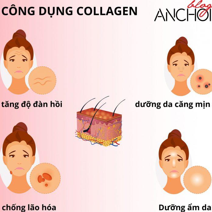 Các công dụng của collagen nước đối với da ( Nguồn: BlogAnChoi)