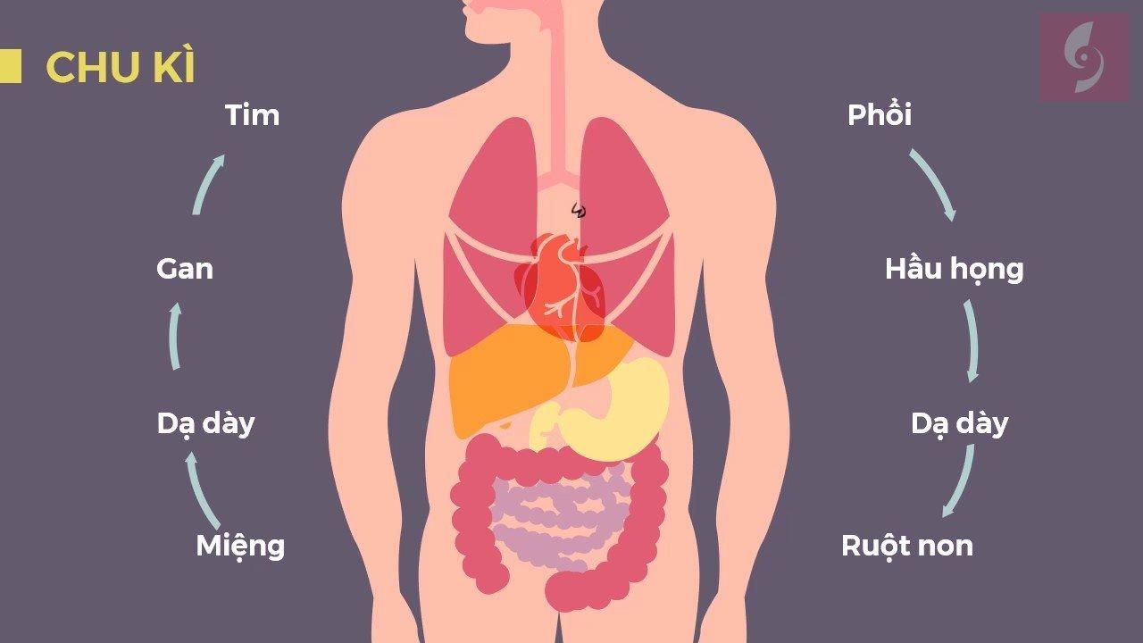 Bệnh giun đũa và nguy cơ lây nhiễm tiềm tàng - BlogAnChoi