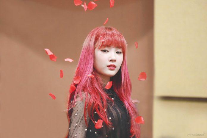 Anne (GWSN) sinh ngày 17 tháng 10 năm 2000 và sẽ tròn 21 tuổi vào năm nay. (Nguồn: Internet)