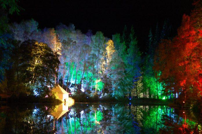 Show Enchanted Forest đầy mê hoặc tại khu rừng Faskally (Ảnh: Internet).