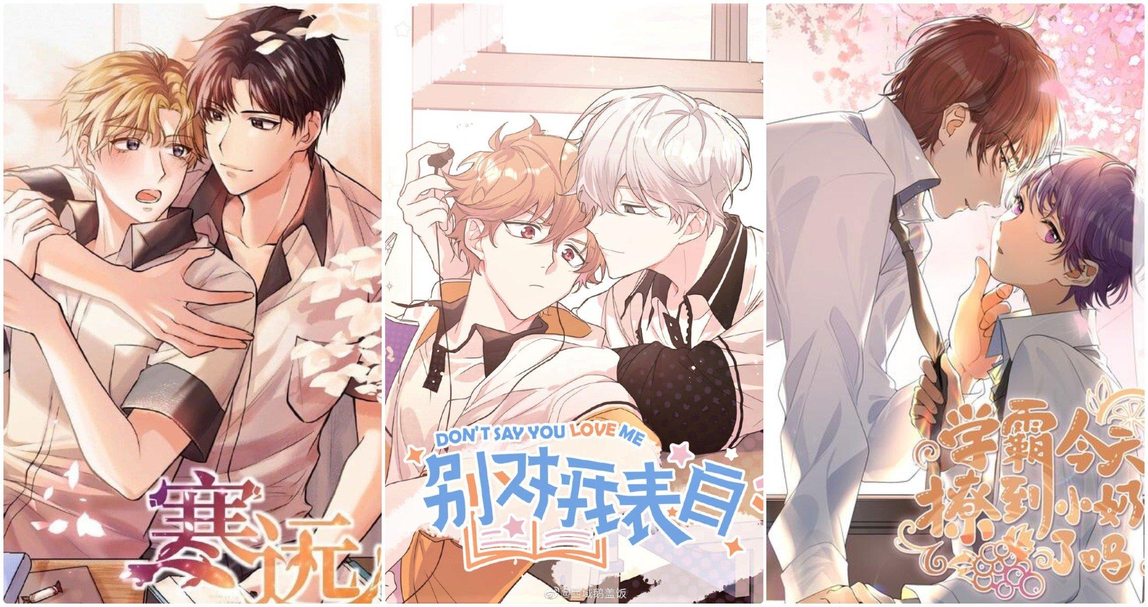 Top 30+ Bộ Phim Anime Đam Mỹ (Yaoi/Boy Love) hay nhất 2023