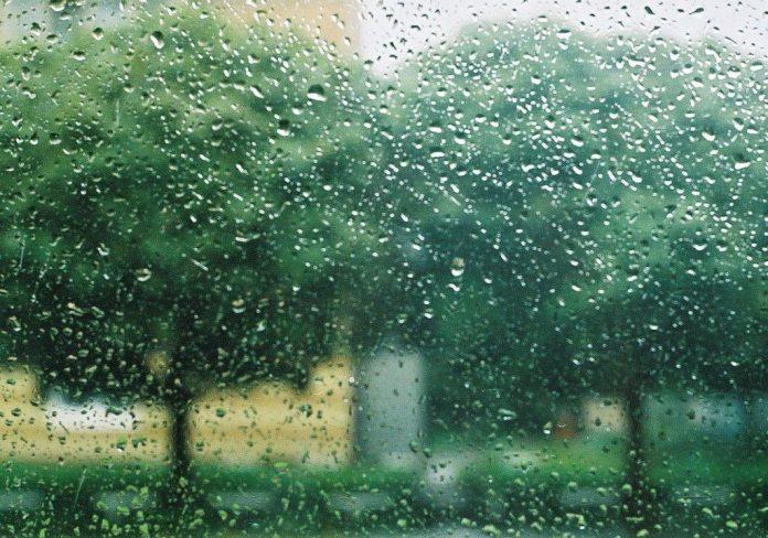 Ngắm mưa rơi là một việc làm lãng mạn (Nguồn: Internet).