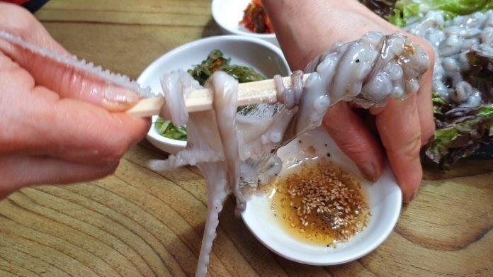 Món bạch tuộc sống (Nguồn: Internet).
