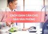 Bỏ túi nhanh 5 mẹo giảm cân giữ dáng cho dân văn phòng, đơn giản mà hiệu quả
