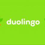 Bạn có nên học ngoại ngữ qua app Duolingo (Nguồn: internet).