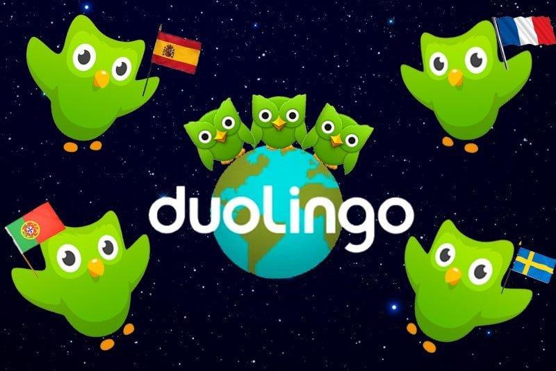 Có nên học ngoại ngữ bằng app Duolingo - chú chim xanh huyền thoại? -  BlogAnChoi