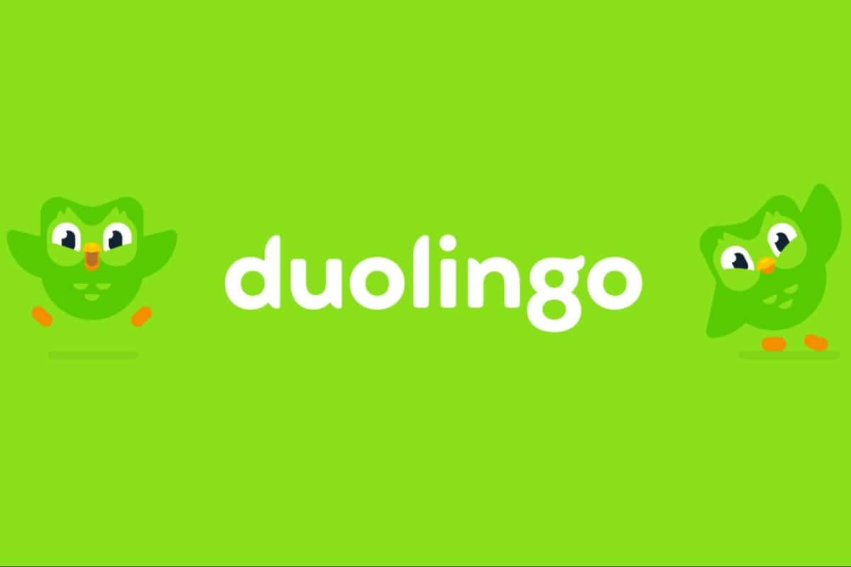 Chia sẻ hơn 52 về hình nền duolingo mới nhất - cdgdbentre.edu.vn