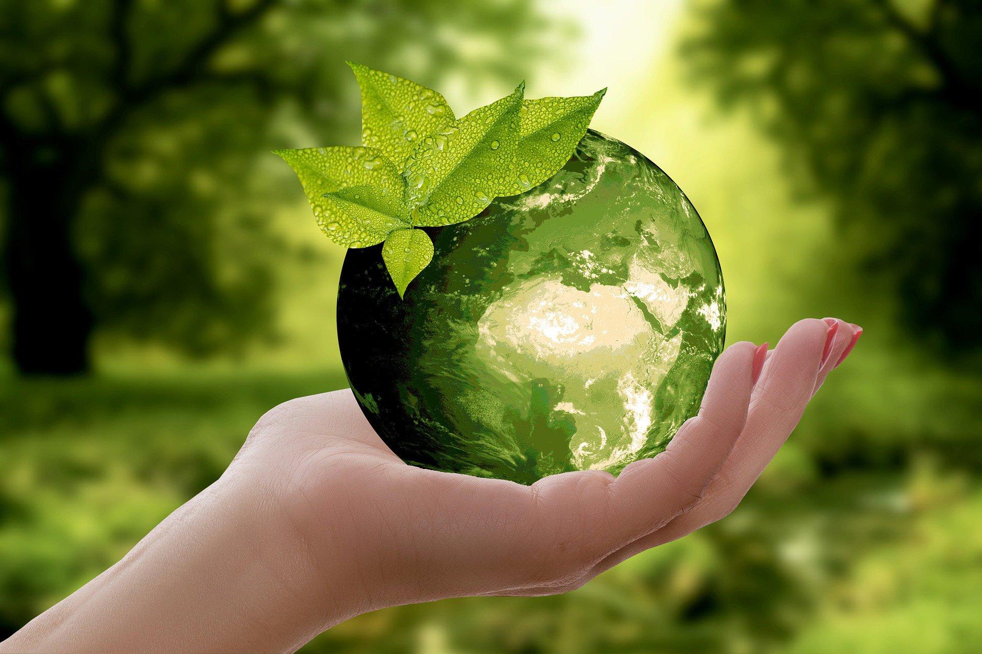 7 việc làm giúp bảo vệ môi trường - Đơn giản mà hiệu quả không ngờ - BlogAnChoi