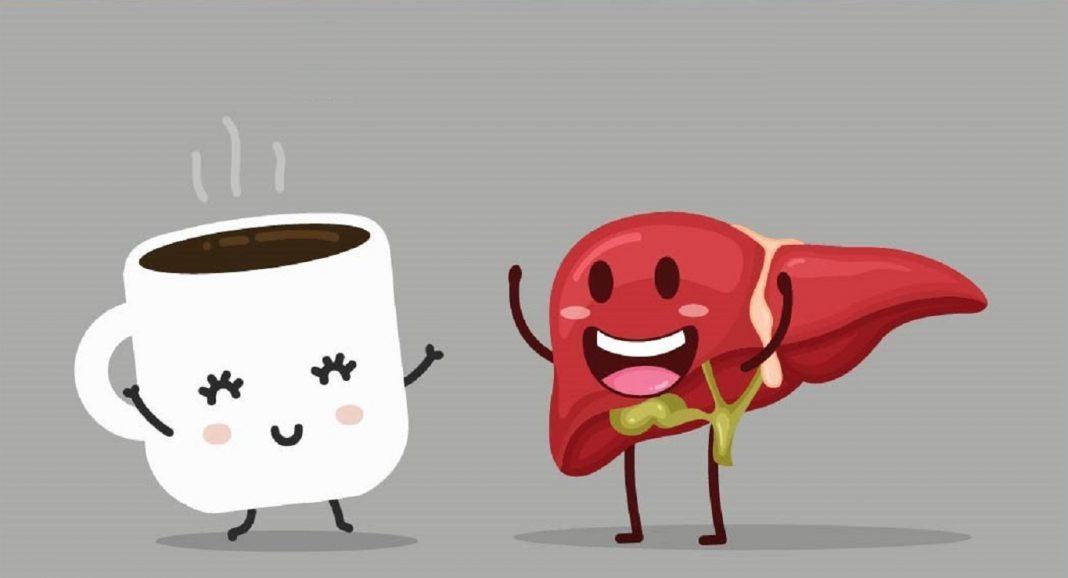 Cà phê được coi là thực phẩm tốt cho gan nếu dùng hợp lý (Ảnh: Internet). Cà phê được coi là thực phẩm tốt cho gan nếu dùng hợp lý (Ảnh: Internet).