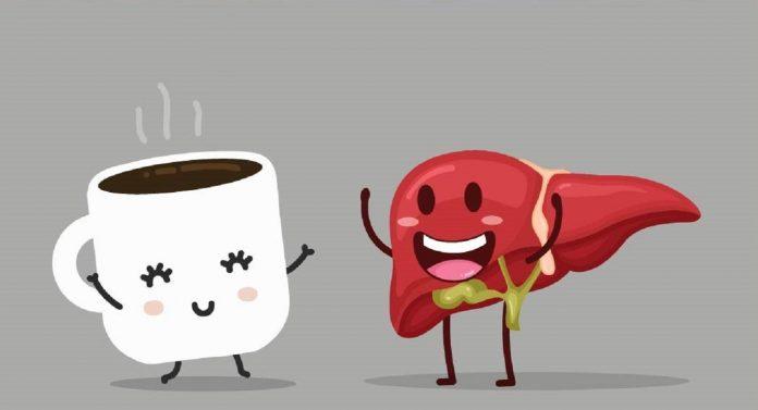 Cà phê được coi là thực phẩm tốt cho gan nếu dùng hợp lý (Ảnh: Internet). Cà phê được coi là thực phẩm tốt cho gan nếu dùng hợp lý (Ảnh: Internet).