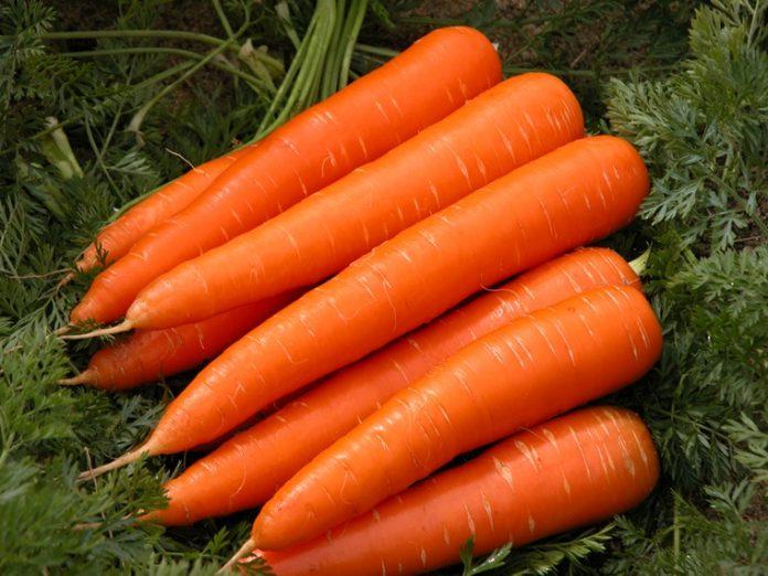 Cà rốt giúp phổi tốt hơn (Nguồn: Internet)