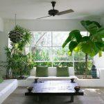 Bí quyết tạo nên không gian sang và sạch từ các loại cây trong nhà không hề đắt đỏ