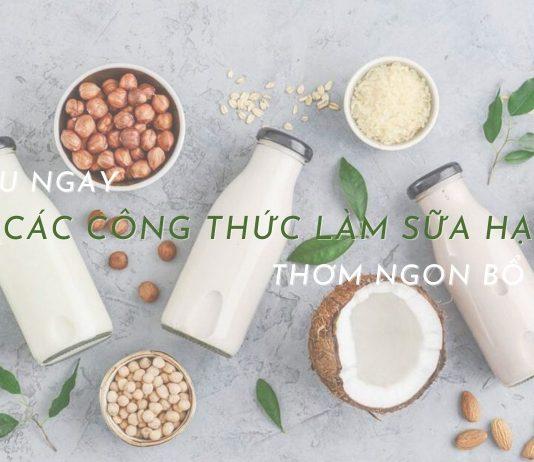 Tìm hiểu ngay 10 công thức làm sữa hạt thơm ngon bổ dưỡng