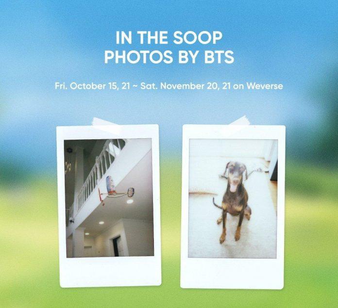 Ai cũng tò mò vì chú cún được xuất hiện trong các bức ảnh của BTS ở In The Soop mùa 2. (Ảnh: Internet)