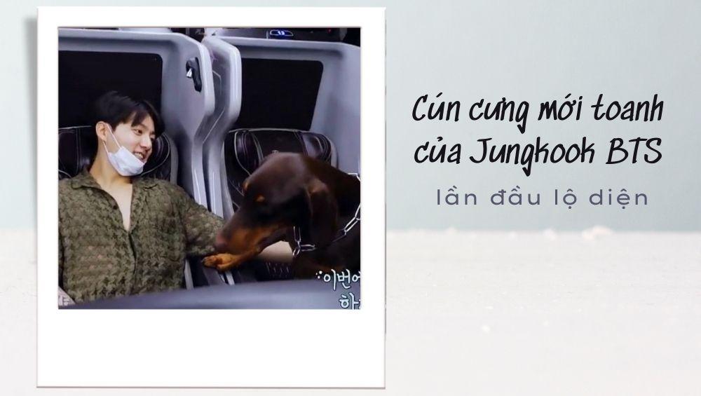 Cún cưng của Jungkook BTS làm trái tim bạn tan chảy! Xem hình ảnh con chó này để cảm nhận tình cảm và sự gắn bó giữa Jungkook và cún cưng đáng yêu của anh.